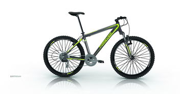 自行車(chē)貼花設(shè)計(jì)